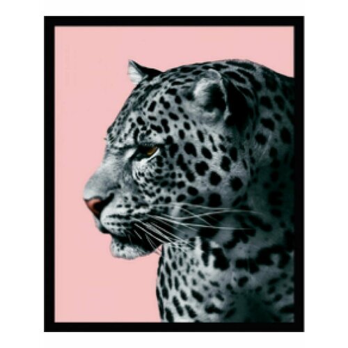 Постер в раме G&C art studio 2611A 200х250