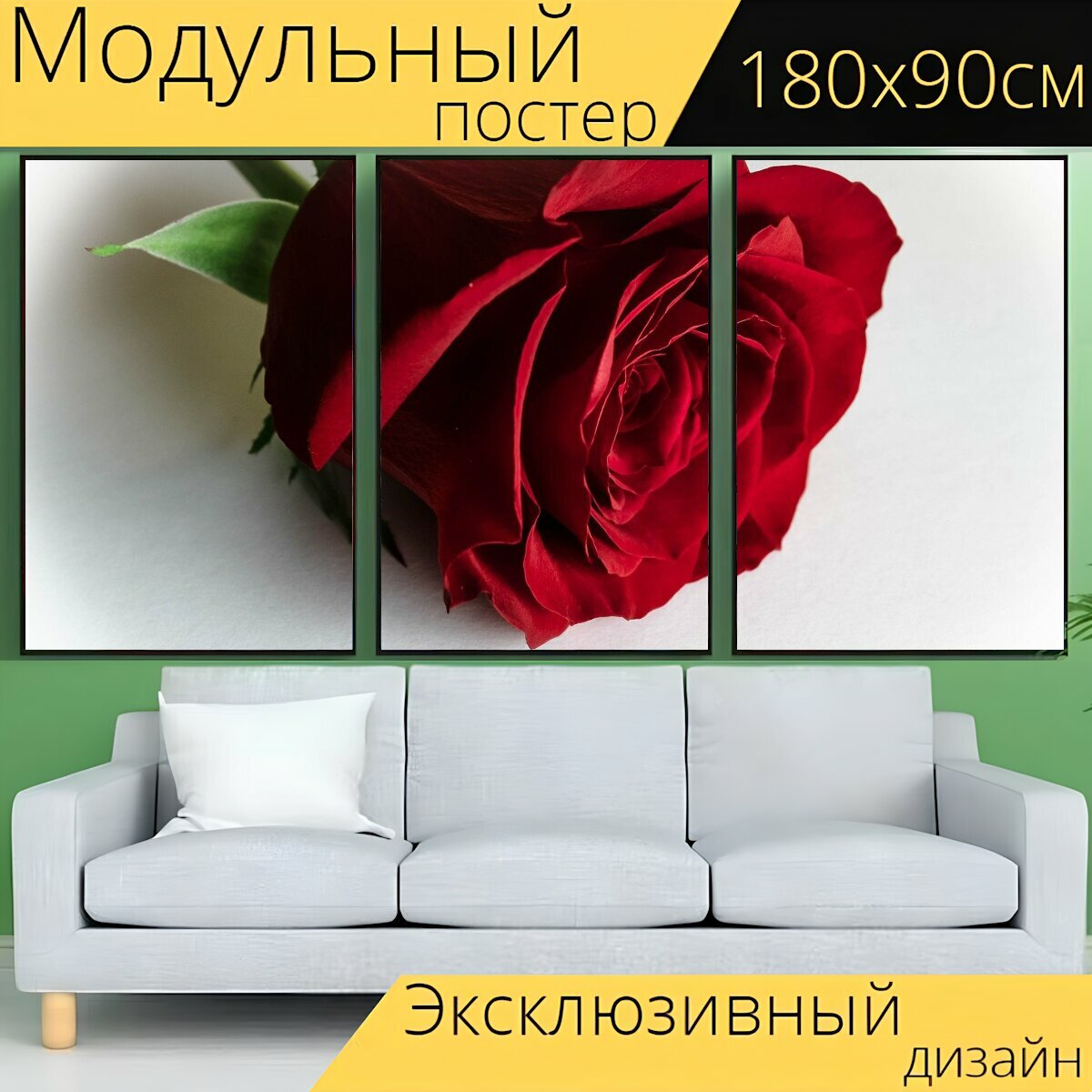 Модульный постер "Роза, красная роза, розы" 180 x 90 см. для интерьера