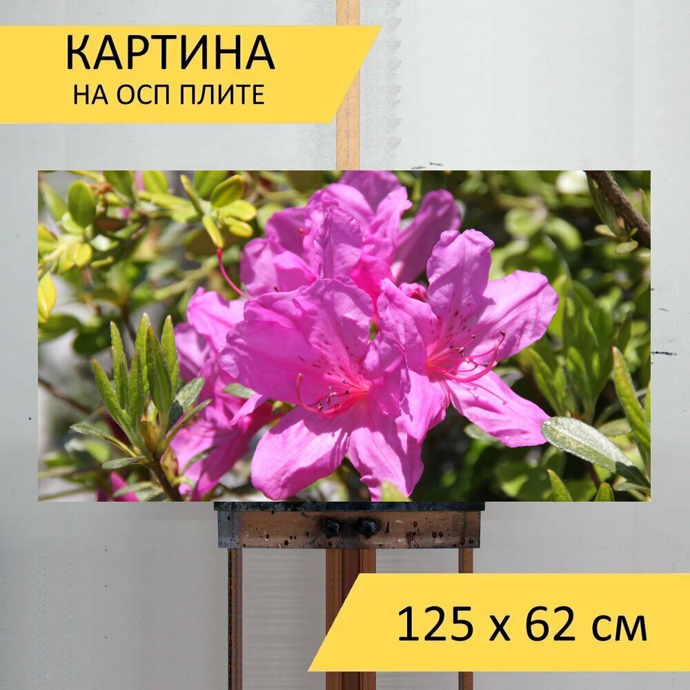 Картина на ОСП 125х62 см. 