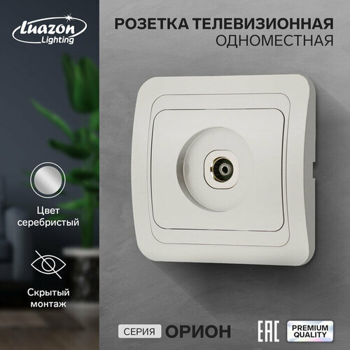 Розетка телевизионная одноместная Luazon Lighting Орион, скрытая, серебристая розетка телевизионная одноместная luazon lighting орион скрытая черная