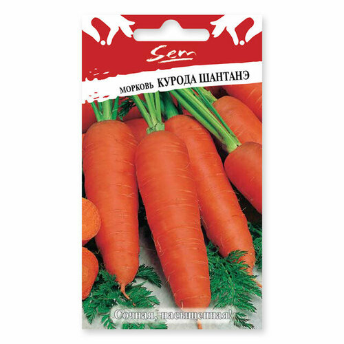 Семена морковь курода шантанэ 2 г