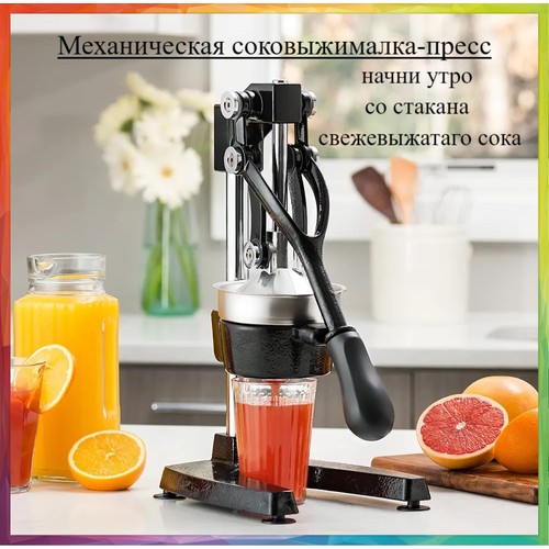 Соковыжималка-пресс для фруктов и овощей механическая 379900₽