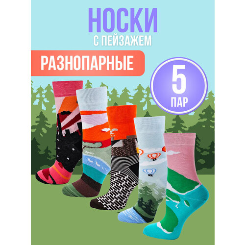 Носки Big Bang Socks, 5 пар, 5 уп., размер 40-44, мультиколор