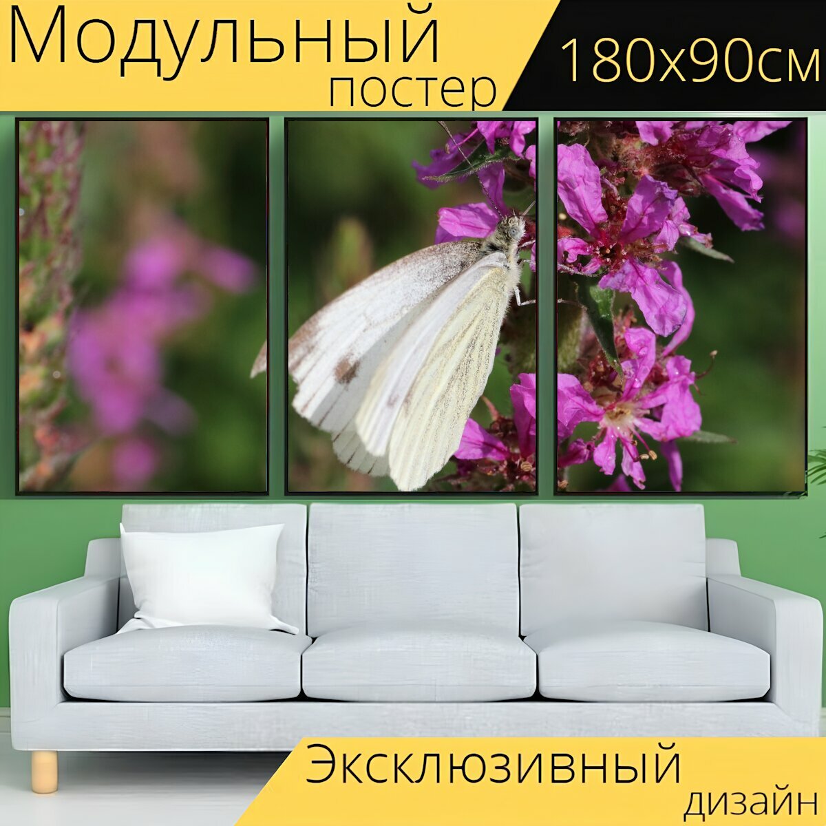 Модульный постер "Бабочка, цветы, бабочки" 180 x 90 см. для интерьера