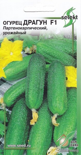 Огурец 