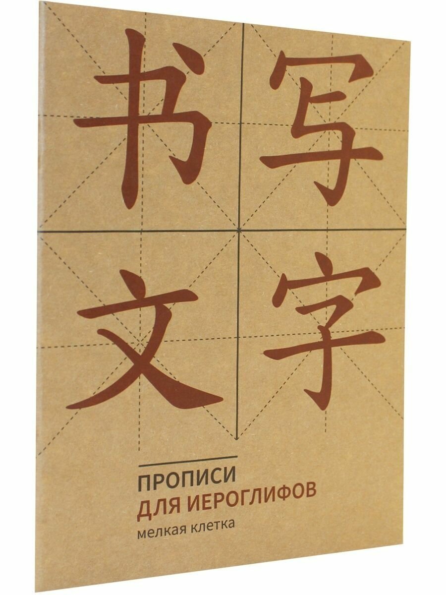 Прописи для китайских иероглифов (Мелкая клетка) - фото №5