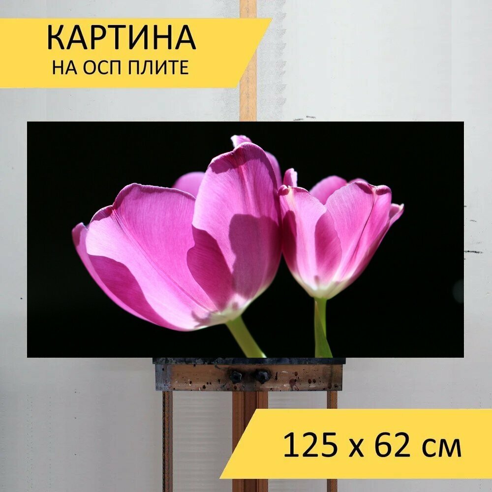 Картина на ОСП 125х62 см. 