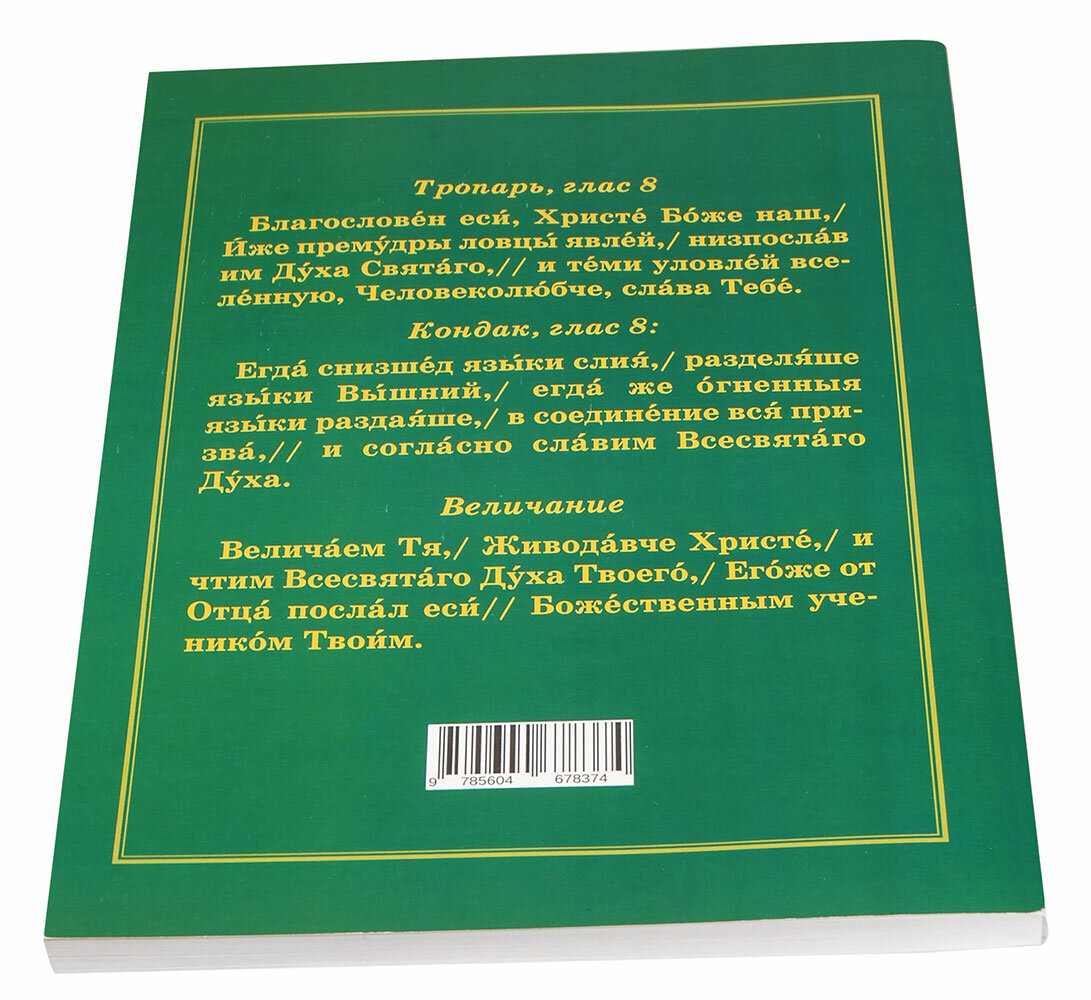 Пятидесятница. Родительская суббота. День Святой Троицы. Чин коленопреклонения - фото №7