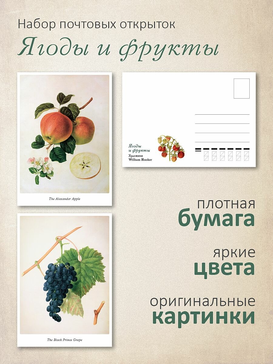 Набор почтовых открыток "Ягоды и фрукты"