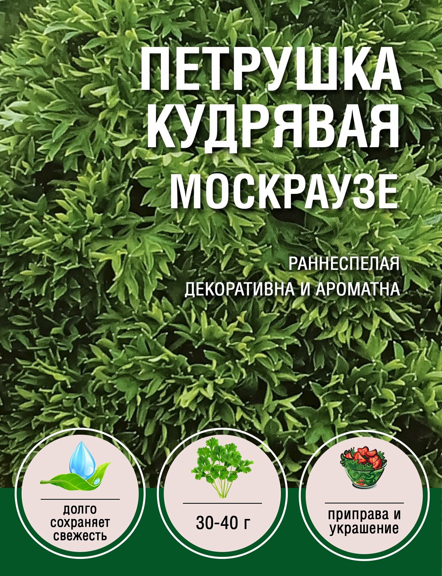 Петрушка Кудрявая Москраузе (1 пакет по 2гр)