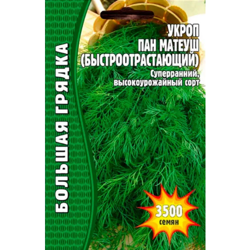 Укроп Пан Матеуш (быстроотрастающий) 2500 шт редкие семена (3шт в заказе)
