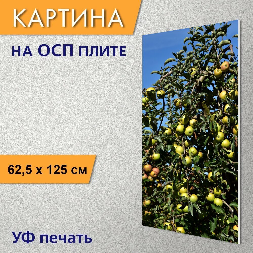 Вертикальная картина на ОСП "Яблоня, яблоки, фрукты" 62x125 см. для интерьериа