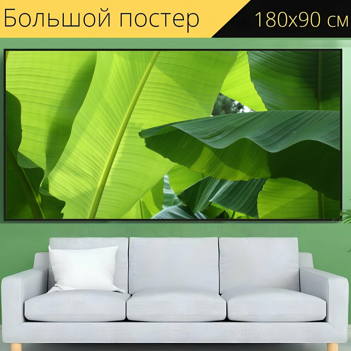 Большой постер "Банановое дерево, завод, природа" 180 x 90 см. для интерьера