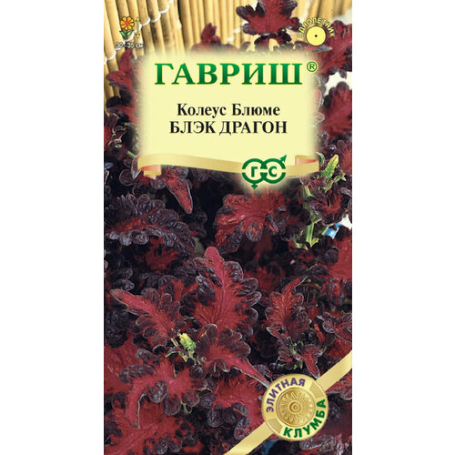 Семена Колеус Блэк Драгон, 4шт, Гавриш, Элитная клумба, 10 пакетиков колеус блэк драгон семена