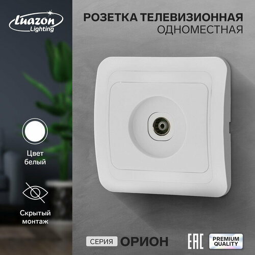 Розетка телевизионная одноместная Luazon Lighting Орион, скрытая, белая