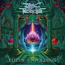 Виниловая пластинка Ozric Tentacles / Lotus Unfolding (Black) (1LP)