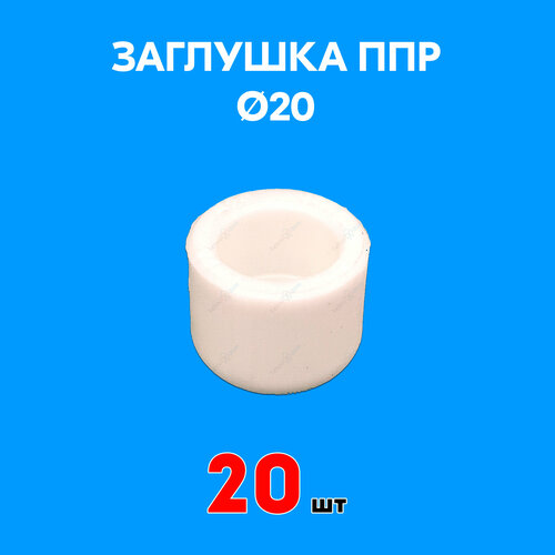 Заглушка полипропиленовая 20 (20 шт)