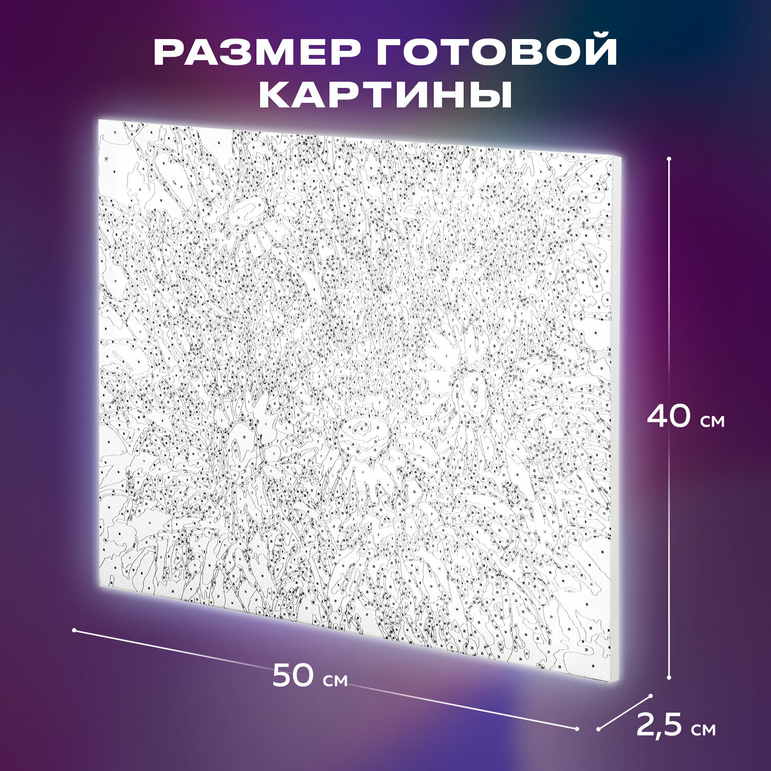 Картина по номерам 40х50 см. "Ромашки", на подрамнике, акрил, кисти, (662913) Brauberg - фото №14