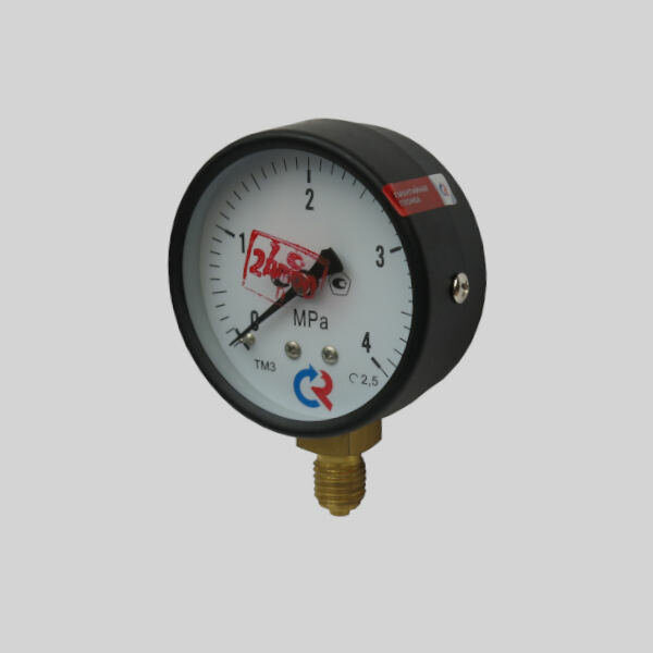 фото Манометр показывающий технический ТМ 310Р 4.0МПа (40 кгс/см2)