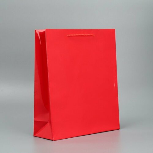 Пакет ламинированный Red, M 24 х 29 х 9 см