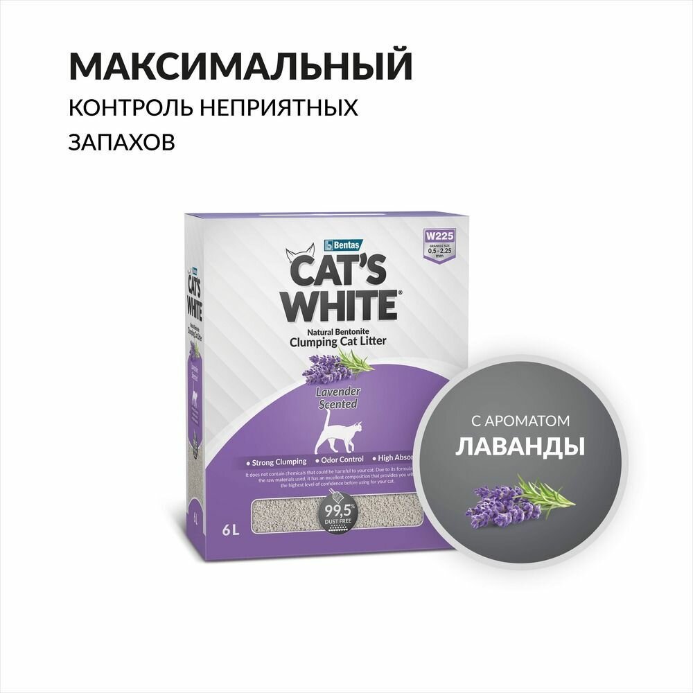 Cat's White BOX Lavender комкующийся наполнитель с нежным ароматом лаванды для кошачьего туалета (6л)