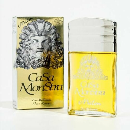 Парфюмерная вода Positive Parfum CasaMonstra MILON edt90ml (9) духи positive parfum florine bouquet edt90ml