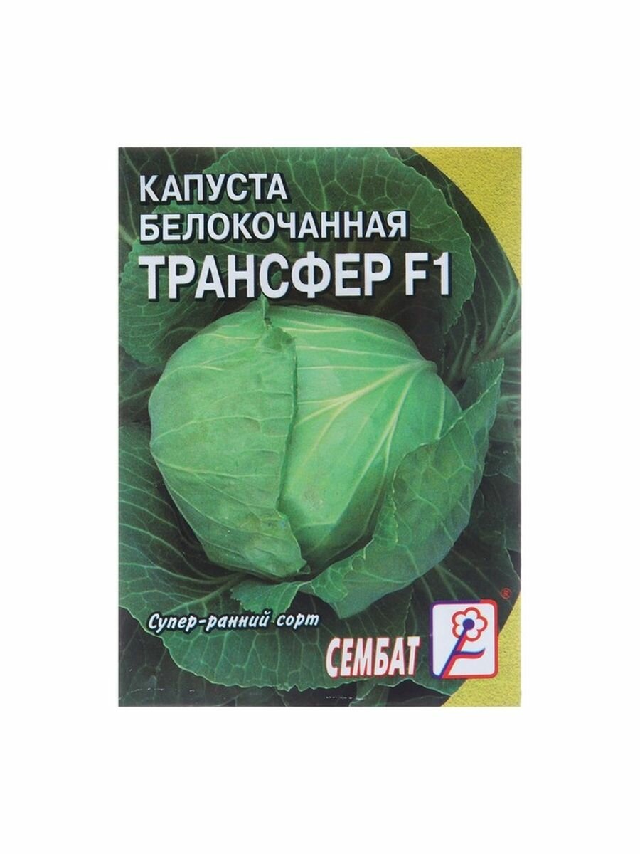 5 пак. Семена Капуста белокочанная "Трансфер F1" 01 г