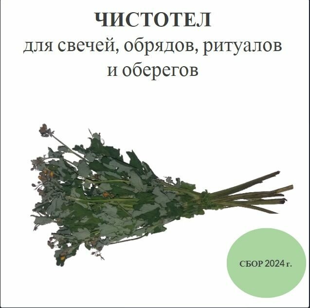 Чистотел (трава и соцветия) - для свечей, обрядов, ритуалов и оберегов