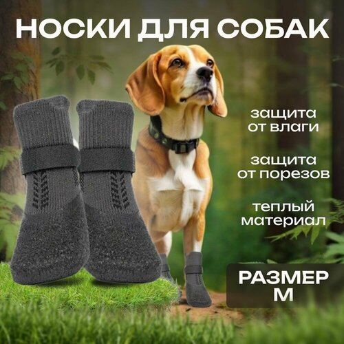 Носки для собак мелких средних и крупных пород прорезиненные защитные 1500₽