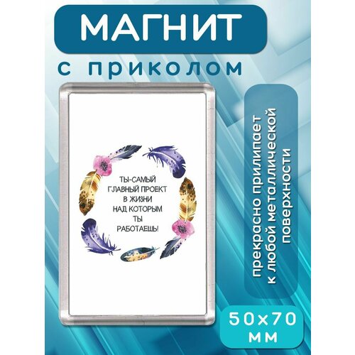 Магнит-украшение Самый главный проект 181₽
