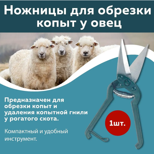 ножницы для копыт мрс Ножницы для обрезки копыт у овец 1 шт