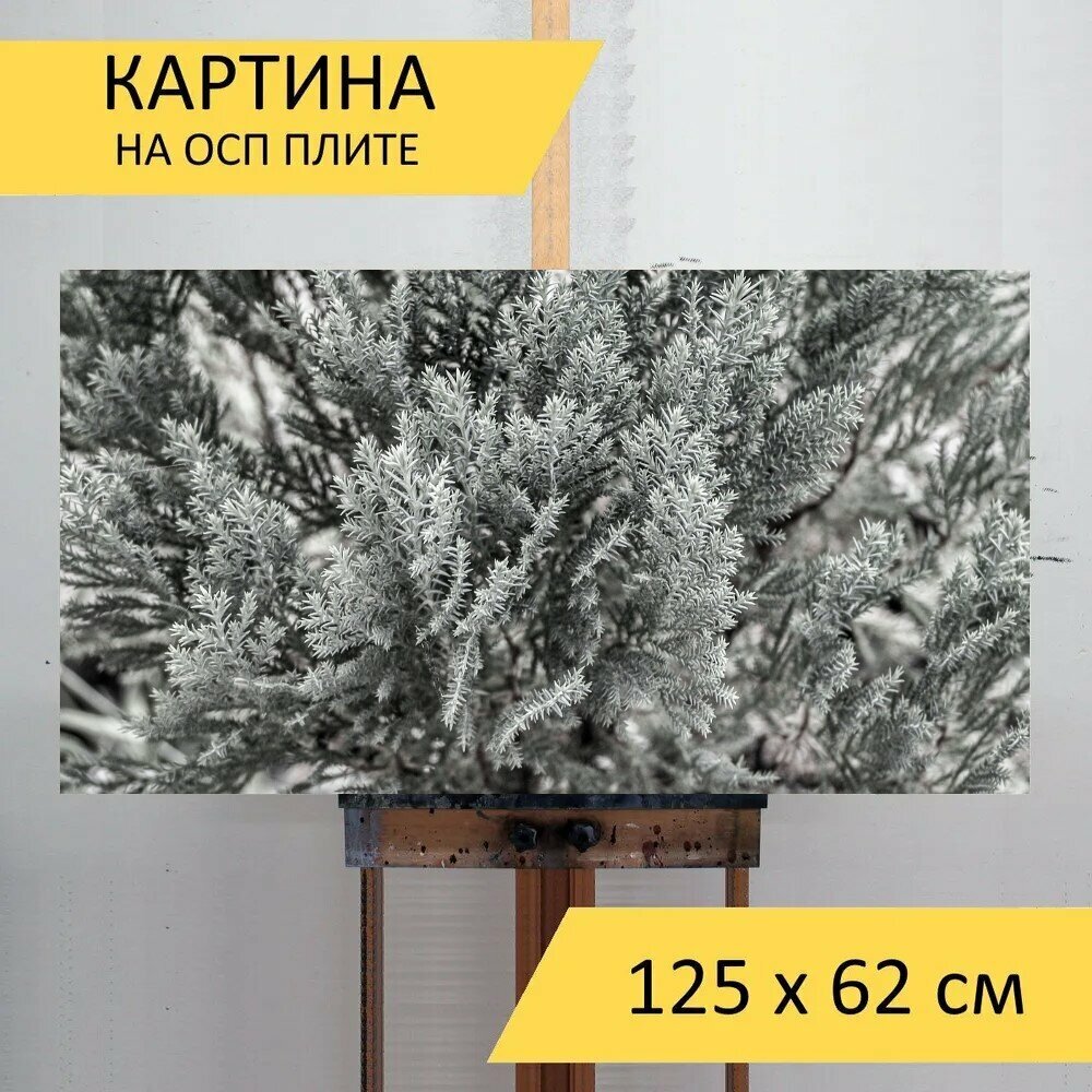 Картина на ОСП "Природа, красивая, естественный" 125x62 см. для интерьера на стену