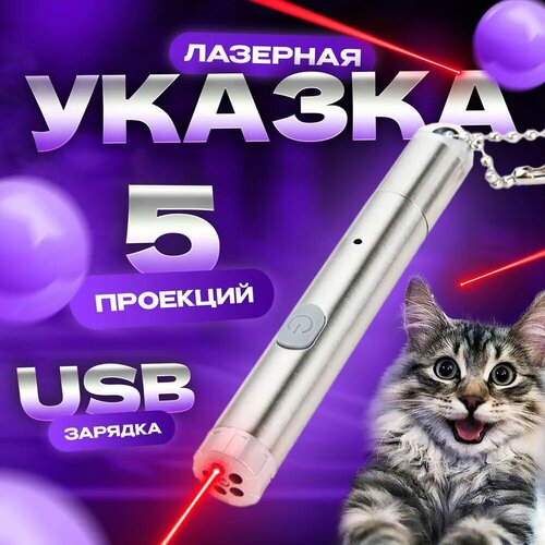 Лазерная указка NSN 5 в 1 для кошек и собак с USB зарядкой