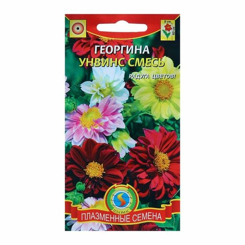 Семена Георгина 