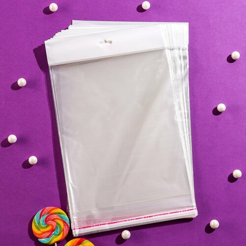 Пакет бопп с клеевым клапаном прозрачный 20 х 254 см еврослот 30 мкм 100шт 853₽