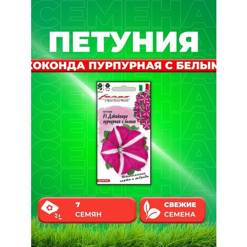 Петуния ампельная Джоконда пурпурная с белым F1, 7шт семена петуния джоконда f1 пурпурная 7шт цп