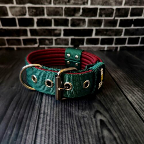 Изображение товара Для собак ошейник. Ширина 4.5 см. Сварная фурнитура. Обхват 35-47 см. Цвет изумрудный с бордовым