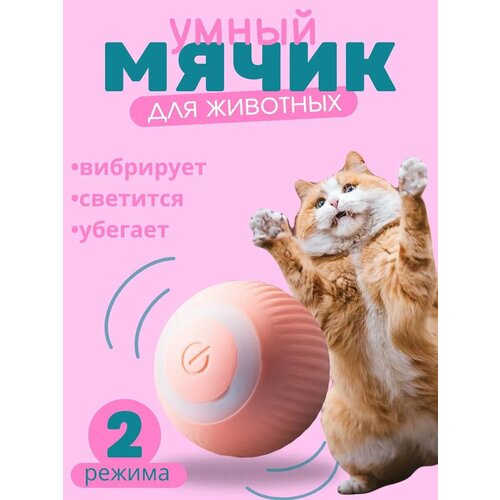 Мяч для кошек интерактивный
