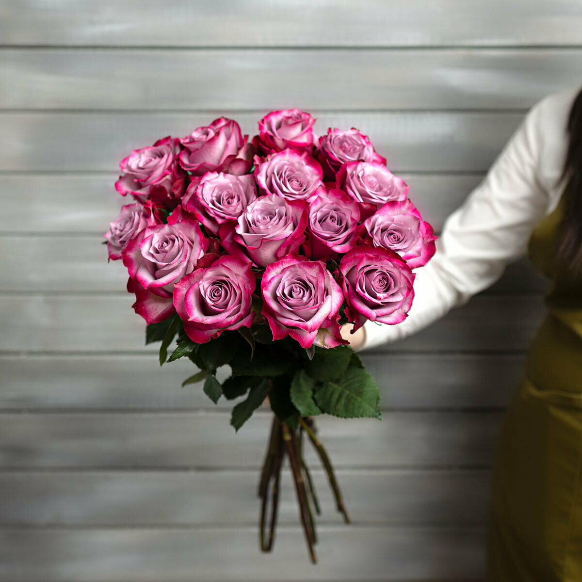 15 фиолетовых роз с лентой Эквадор 50 см