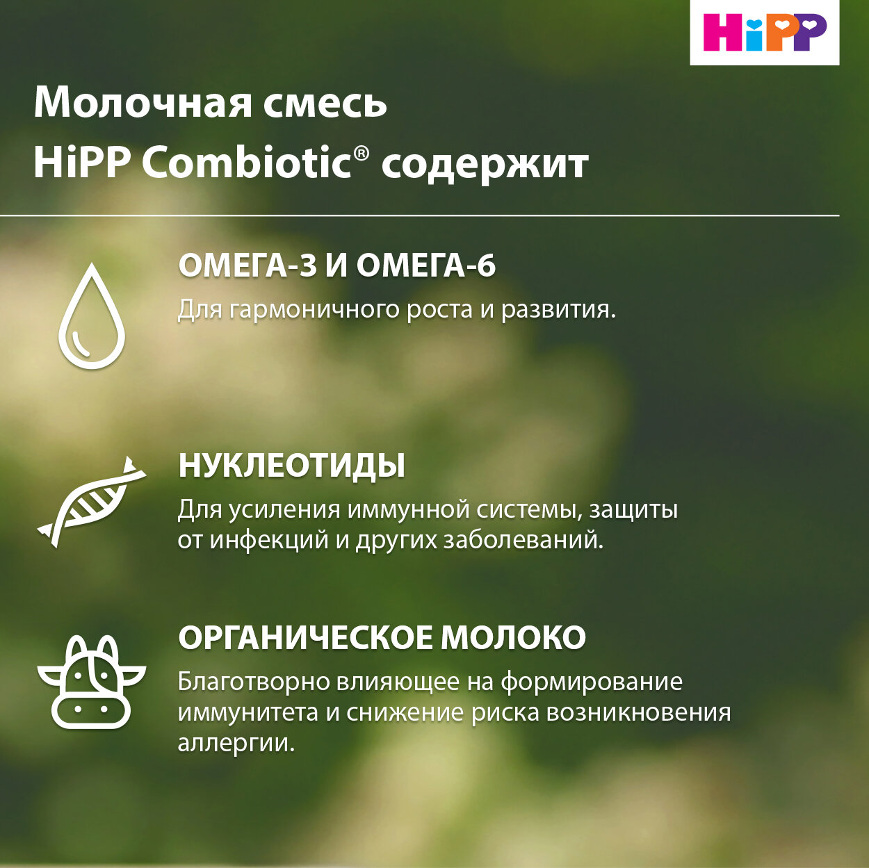 Сухая адаптированная последующая молочная смесь Hipp Combiotic 2, 900гр - фото №5