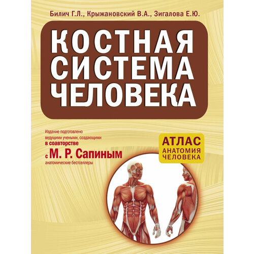 Костная система человека. Атлас атлас нервная система человека