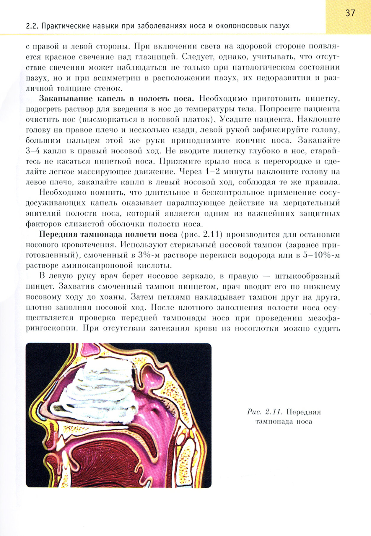 Оториноларингология. Учебник (Хоров Олег Генрихович, Буцель Анна Чеславовна, Куницкий Владимир Сергеевич) - фото №3