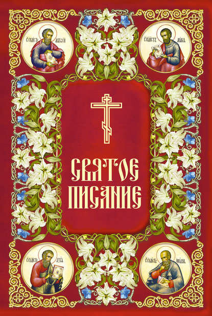 Святое Писание. Новый Завет Господа нашего Иисуса Христа [Цифровая книга]