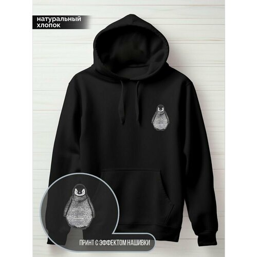 фото Худи hypnotica, размер m, черный