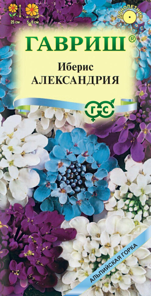 Семена Иберис зонтичный Александрия 01г Гавриш Альпийская горка 10 пакетиков