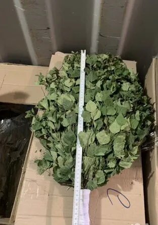 фото Веник березовый отборный (Обмотанная ручка)