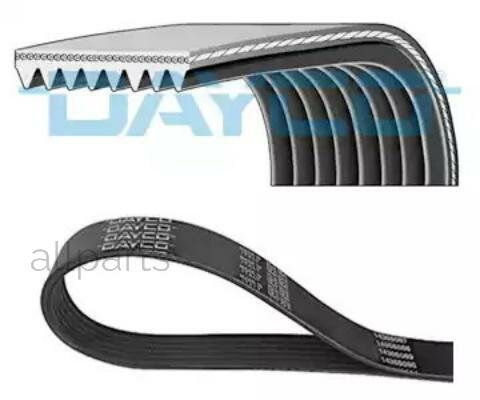 DAYCO 8PK1375HD Ремень ручейковый Dayco