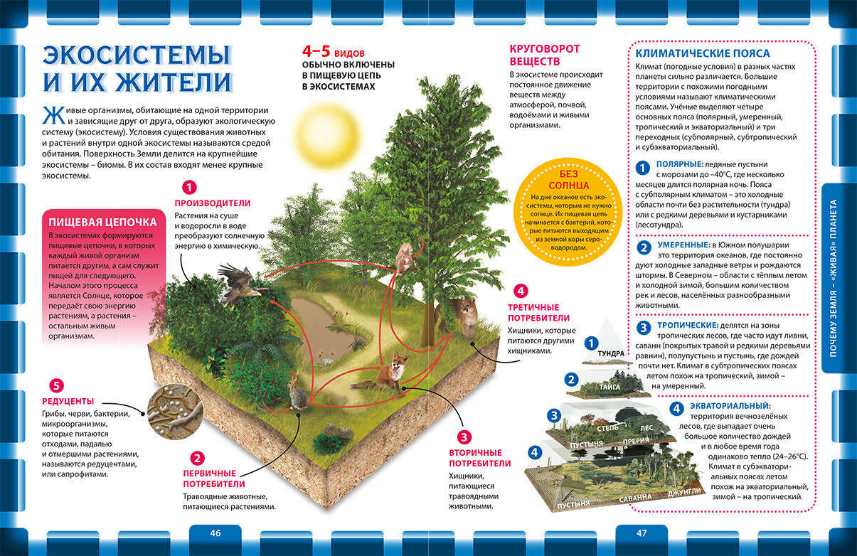 Самая лучшая энциклопедия для почемучек и любознашек - фото №7