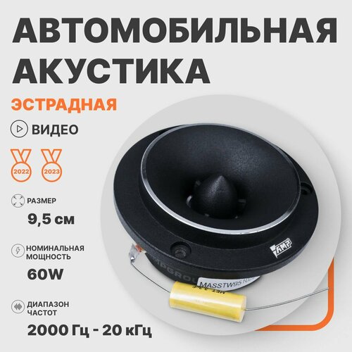 Автомобильные динамики эстрадные AMP MASS TW95 твитер рупор 154400₽