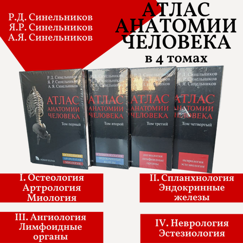 Изображение товара Атлас анатомии человека. Синельников. Полное собрание (комплект из 4 томов)